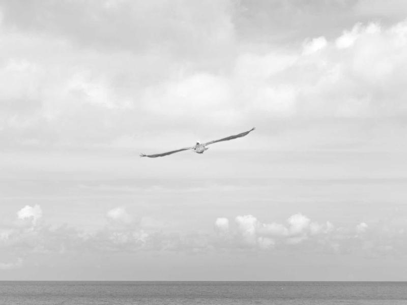 脱口秀演员<br>ly8tfut.cn 冒犯的艺术